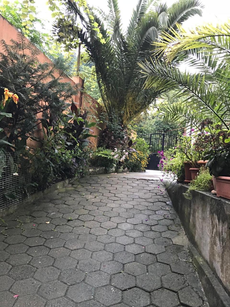 Temo'S Guesthouse ซาร์พี ภายนอก รูปภาพ